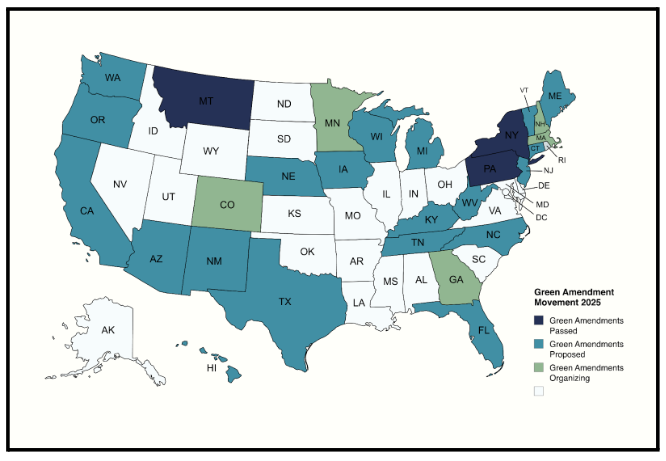 jelissa's green Amendment map